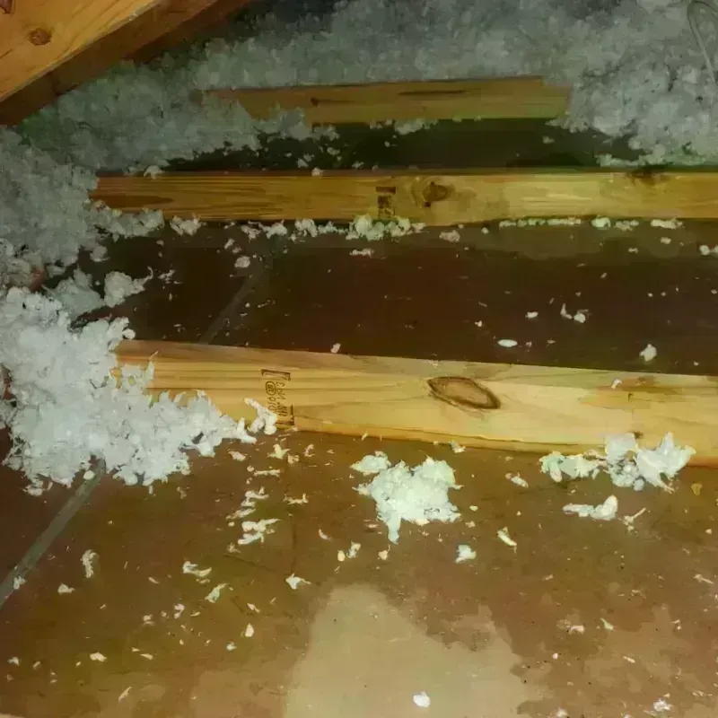 Attic Water Damage in Mohave County, AZ