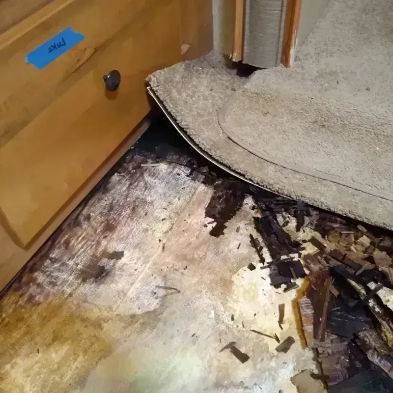 Wood Floor Water Damage in Mohave County, AZ